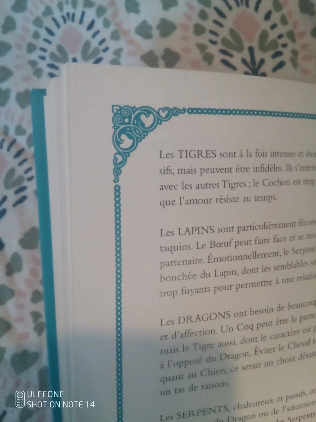 L'astrologie chinoise – photo 5